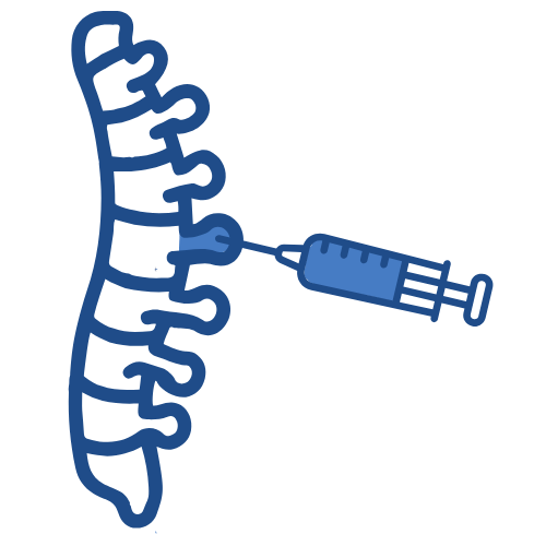 Facet joint injection